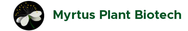 Logo - Myrtus Plant Biotech